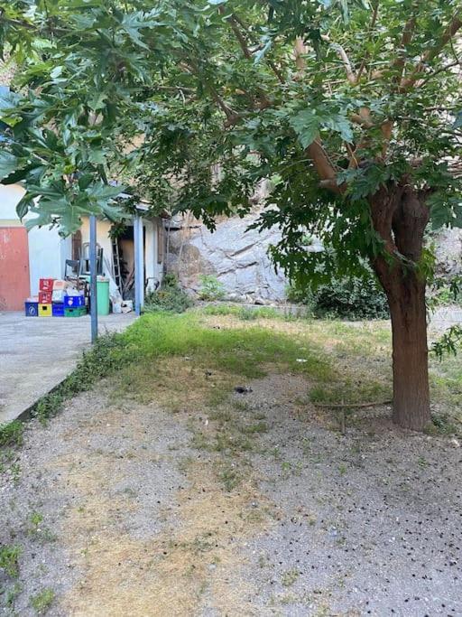 Appt 4 Pers Avec Jardin Ombrage En Centre Ville De Sète Exteriér fotografie