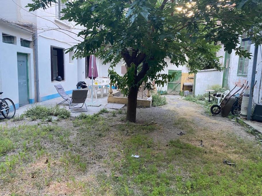 Appt 4 Pers Avec Jardin Ombrage En Centre Ville De Sète Exteriér fotografie